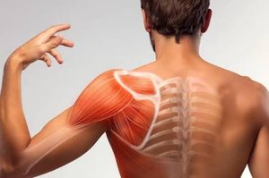 Discover shoulder bursitis causes, symptoms, and treatment options in Queens, including home care and surgery with Dr. Sean Thompson.